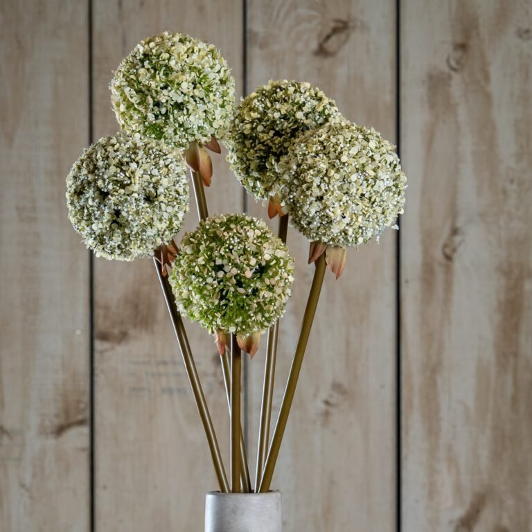 green green allium stem product image