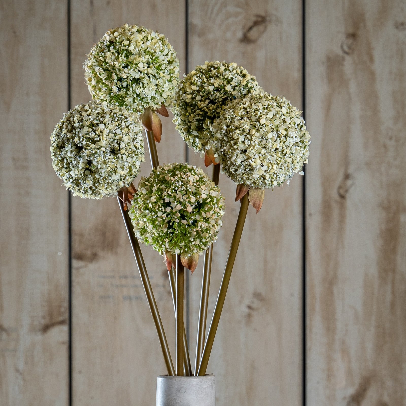 green green allium stem product image