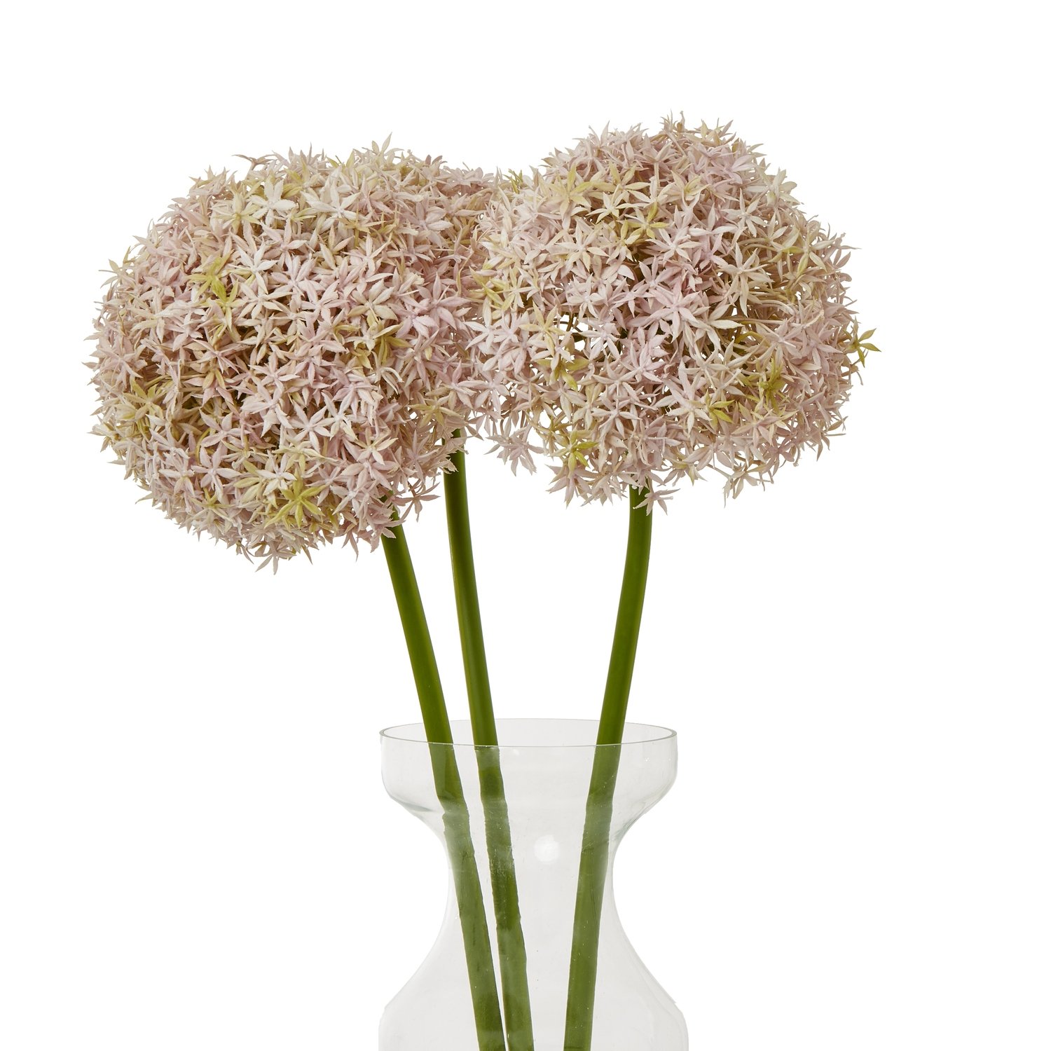 Lilac Giant Allium Stem - Image 3