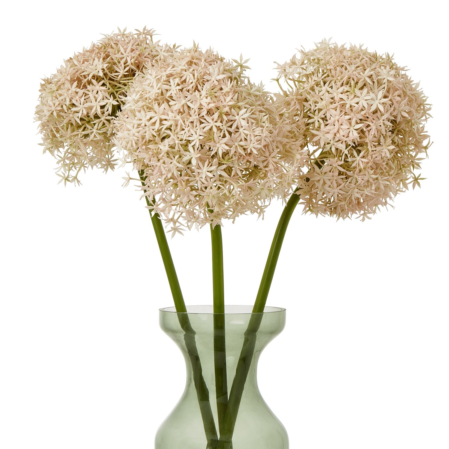 Pink Giant Allium Stem - Image 3