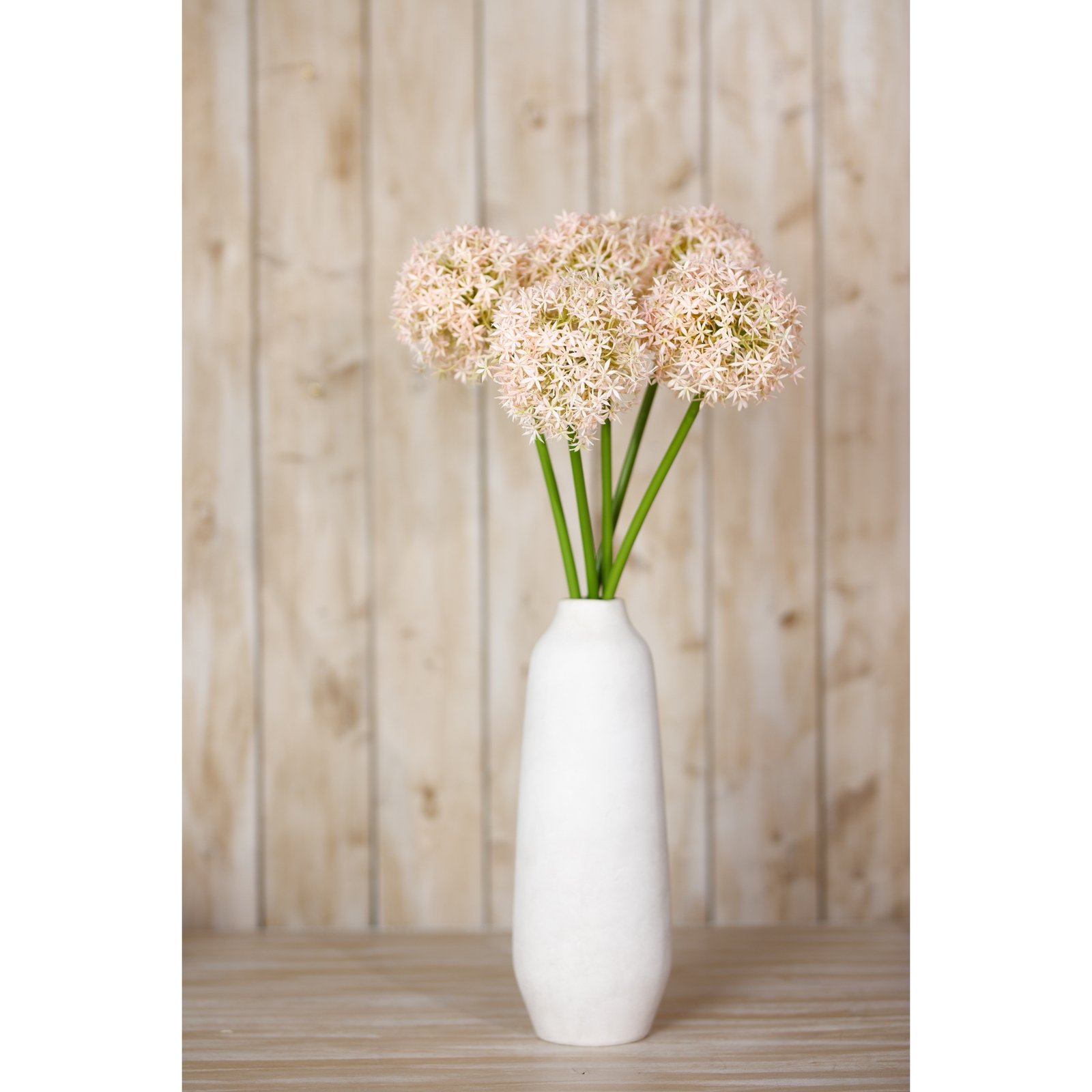 Pink Giant Allium Stem - Image 4