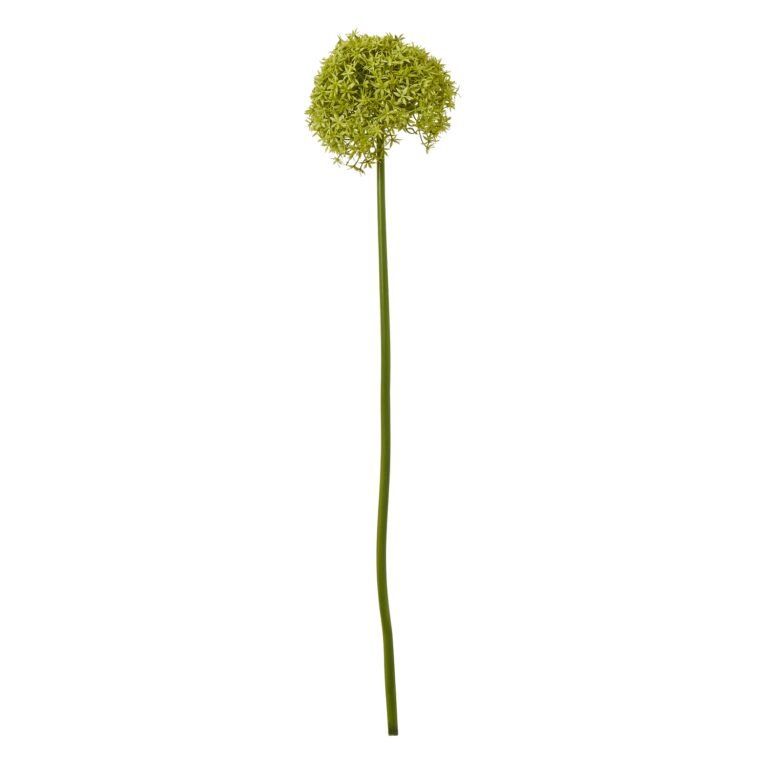 green green giant allium stem product image