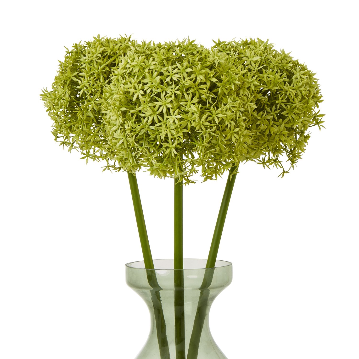 Green Giant Allium Stem - Image 3