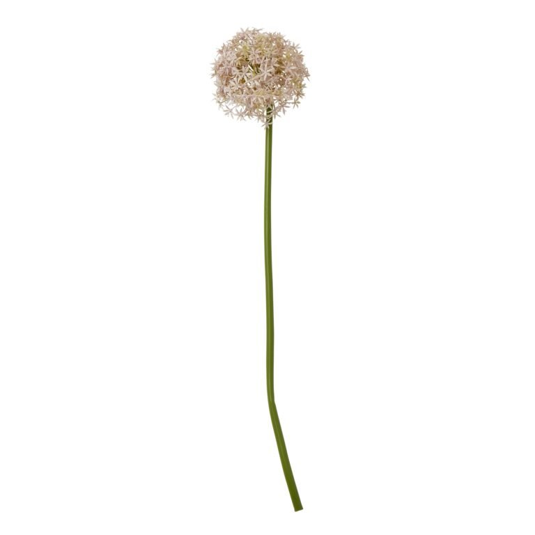 lilac lilac medium allium stem product image