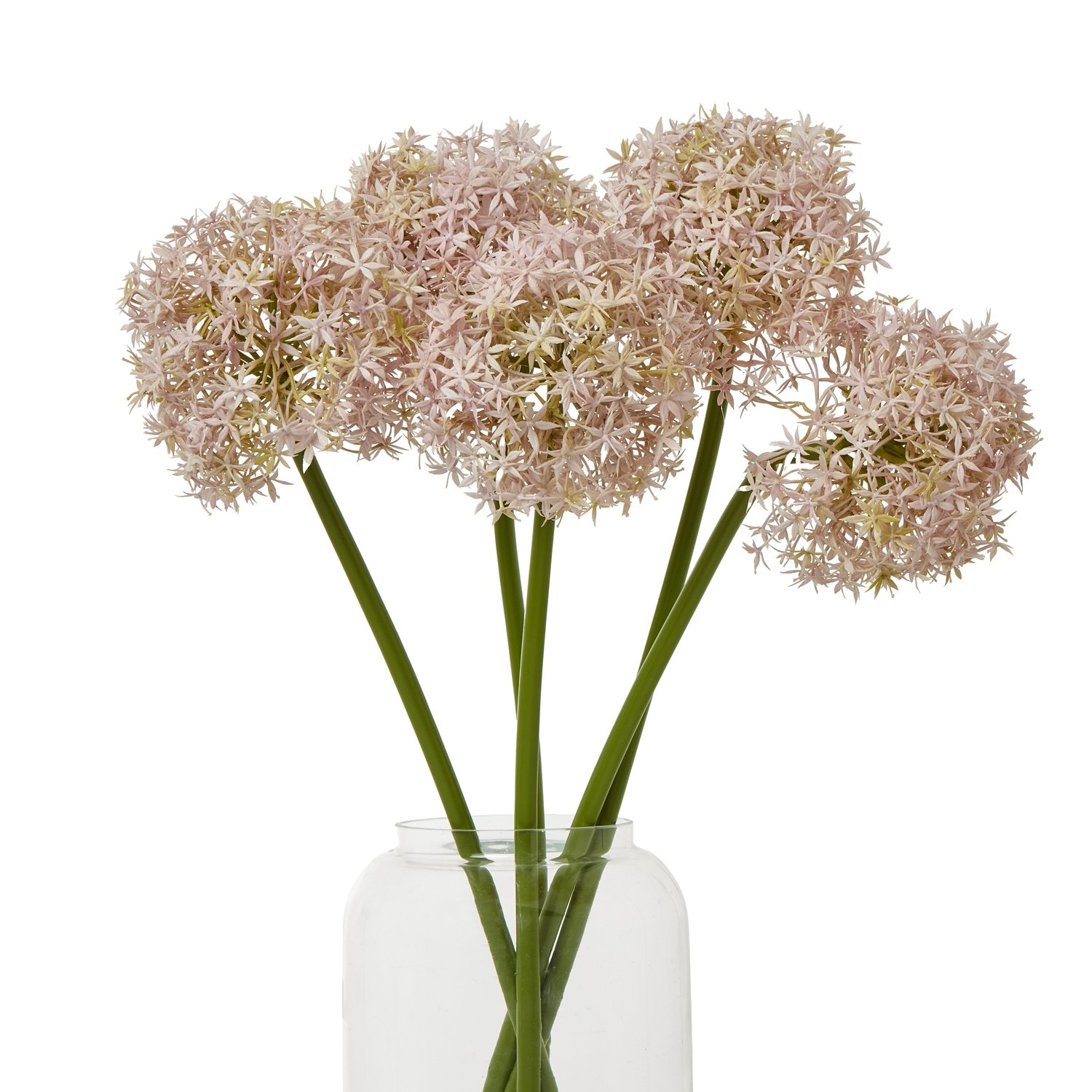 Lilac Medium Allium Stem - Image 3