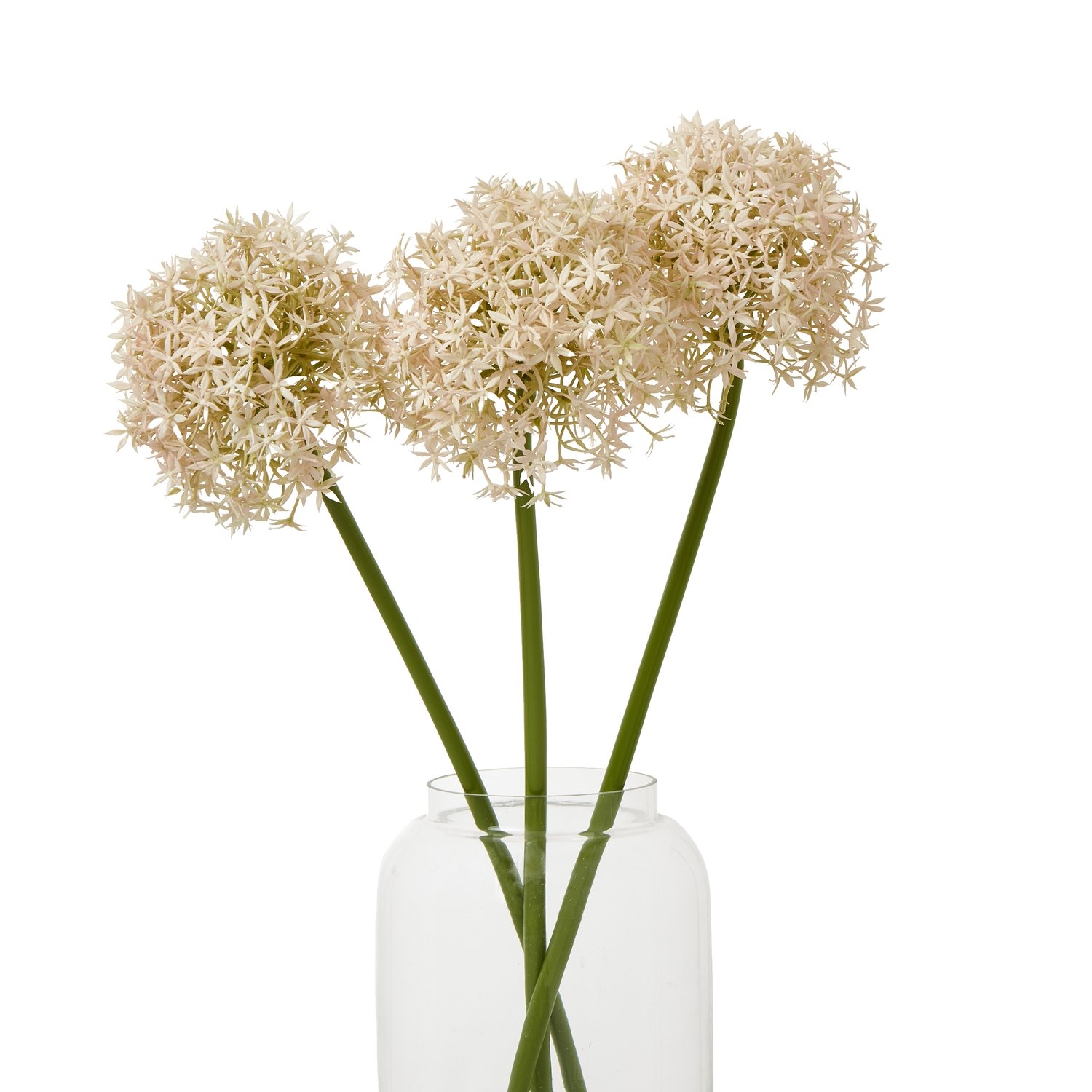 Pink Medium Allium Stem - Image 3