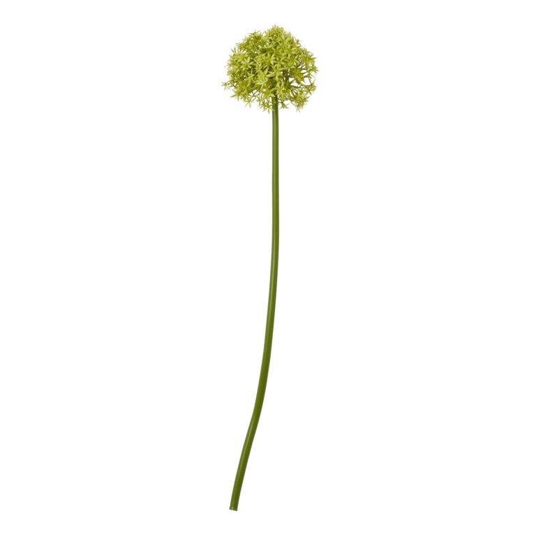 green green medium allium stem product image