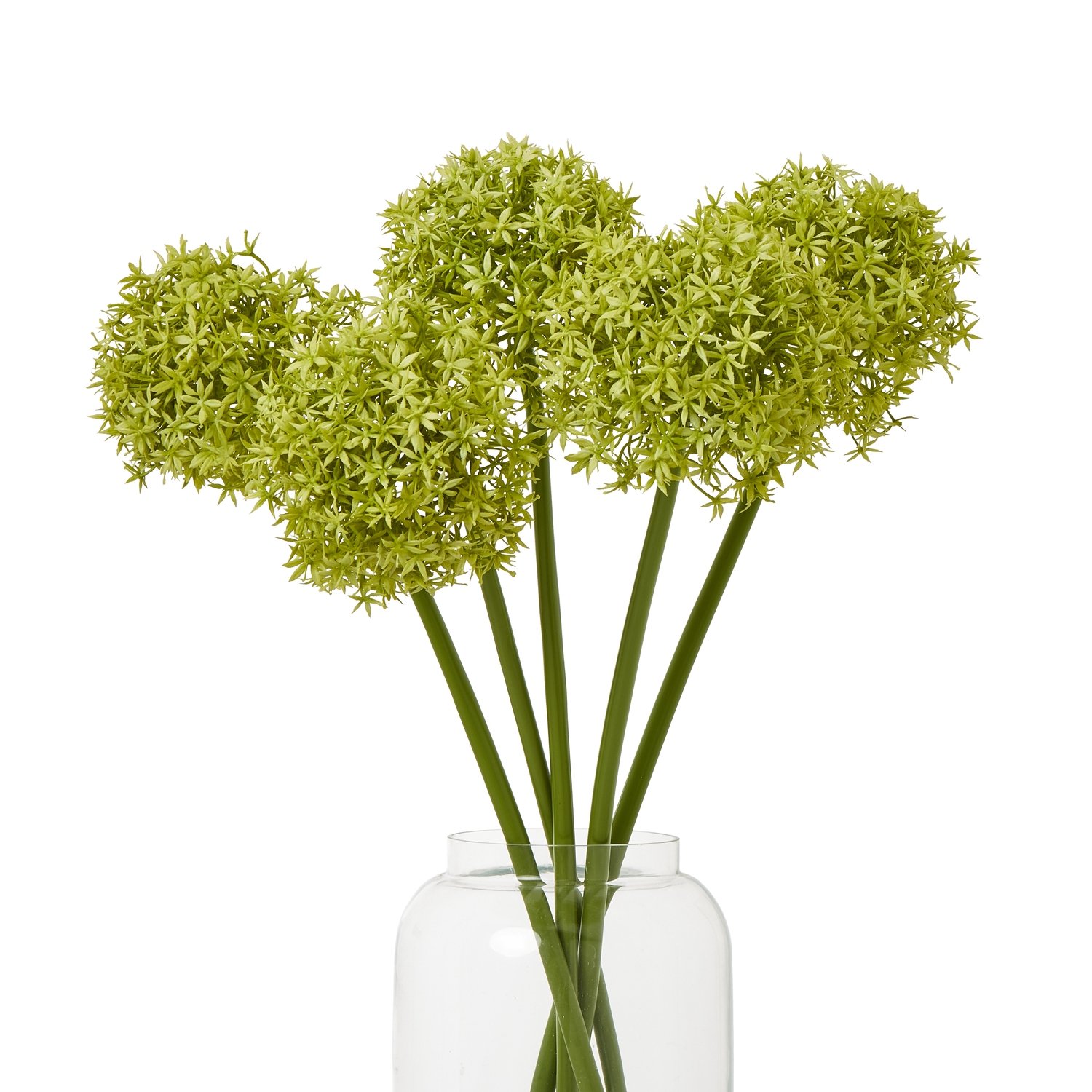 Green Medium Allium Stem - Image 3