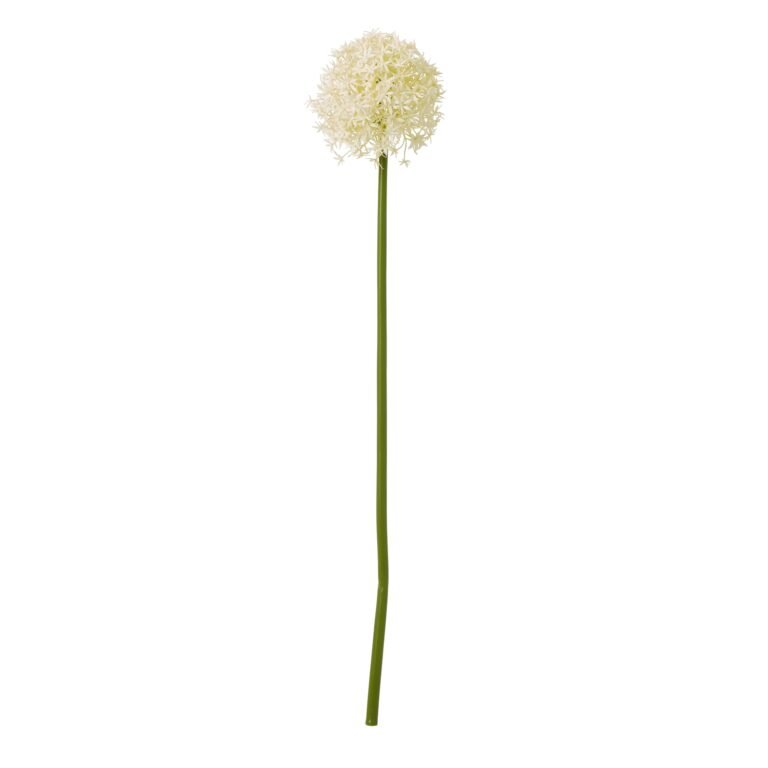 cream artificial allium stem