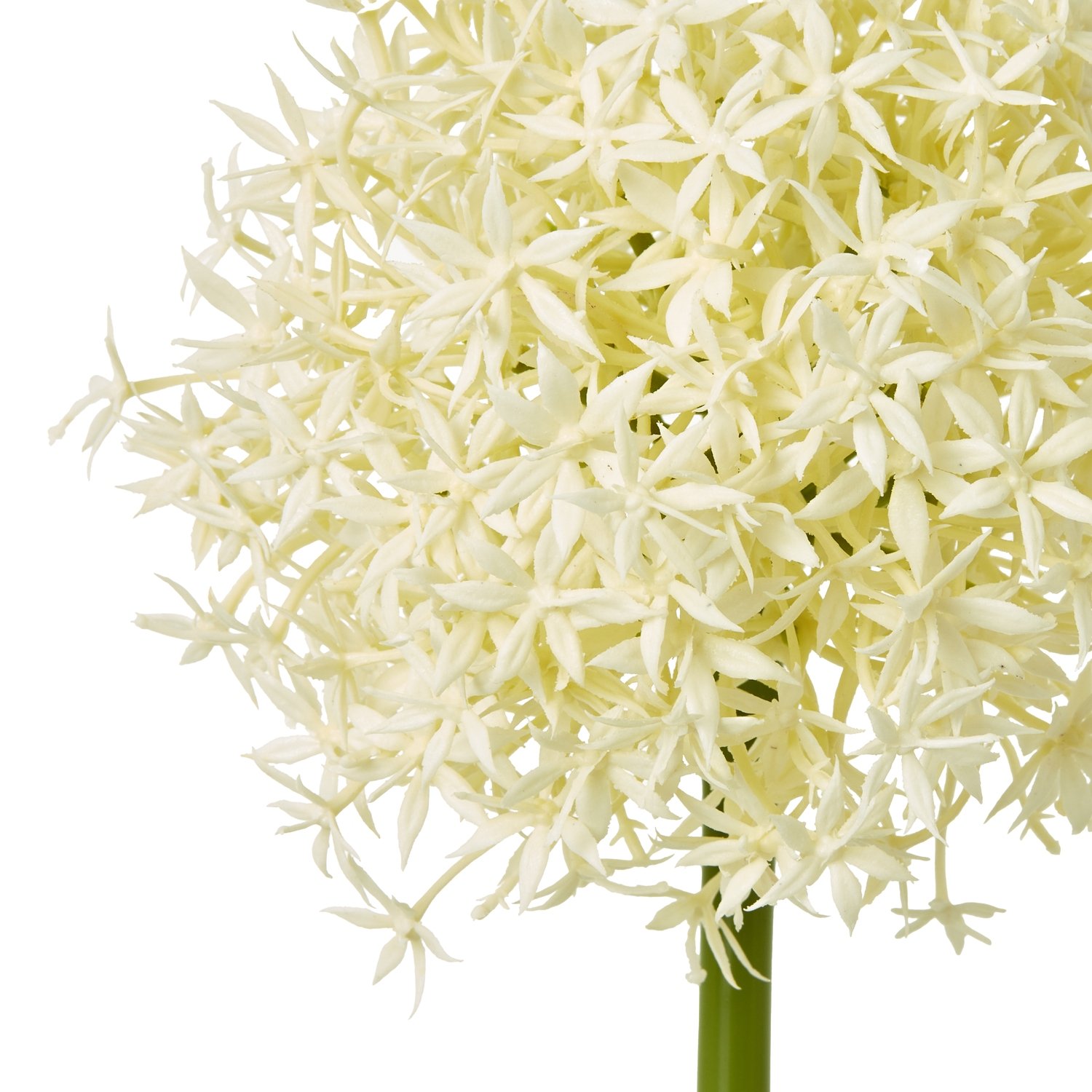 Cream Artificial Allium Stem - Image 2