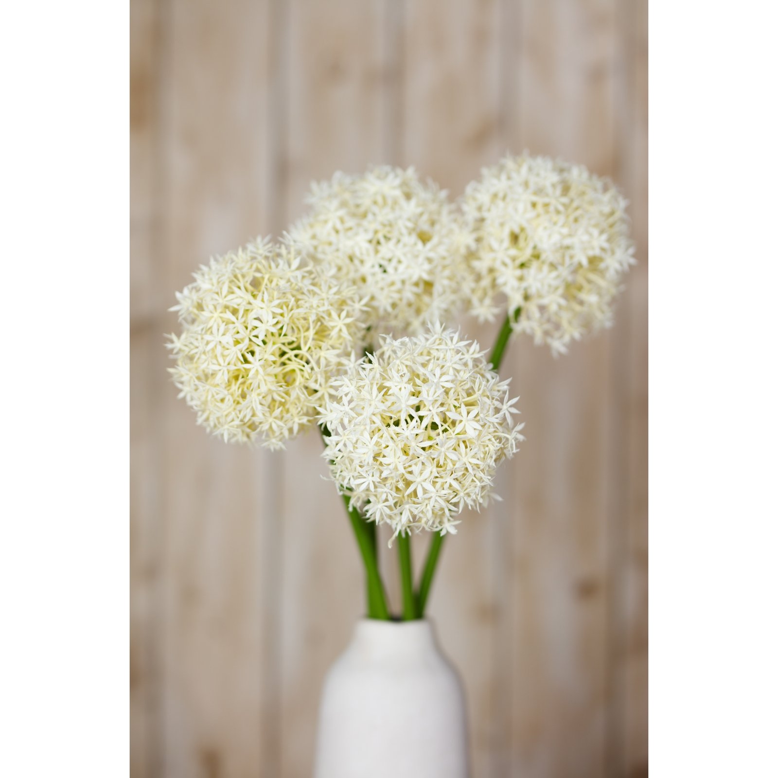 Cream Artificial Allium Stem - Image 5