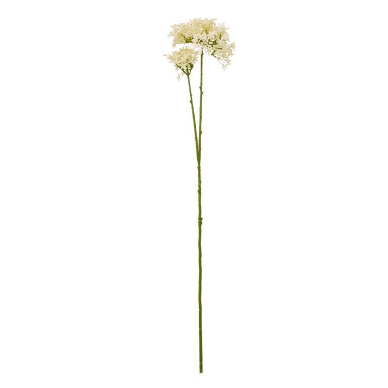 cream cream crown hydrangea stem product image