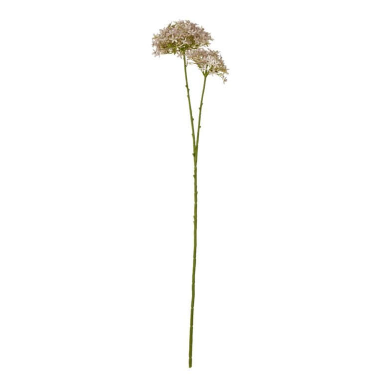 lilac lilac crown hydrangea stem product image