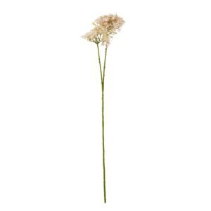 pink pink crown hydrangea stem product image