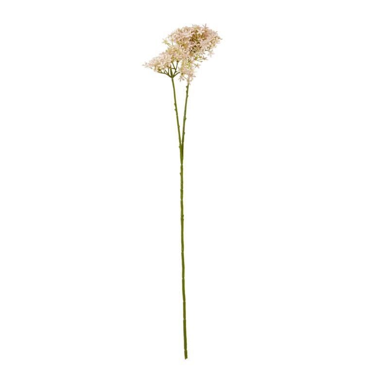 pink pink crown hydrangea stem product image