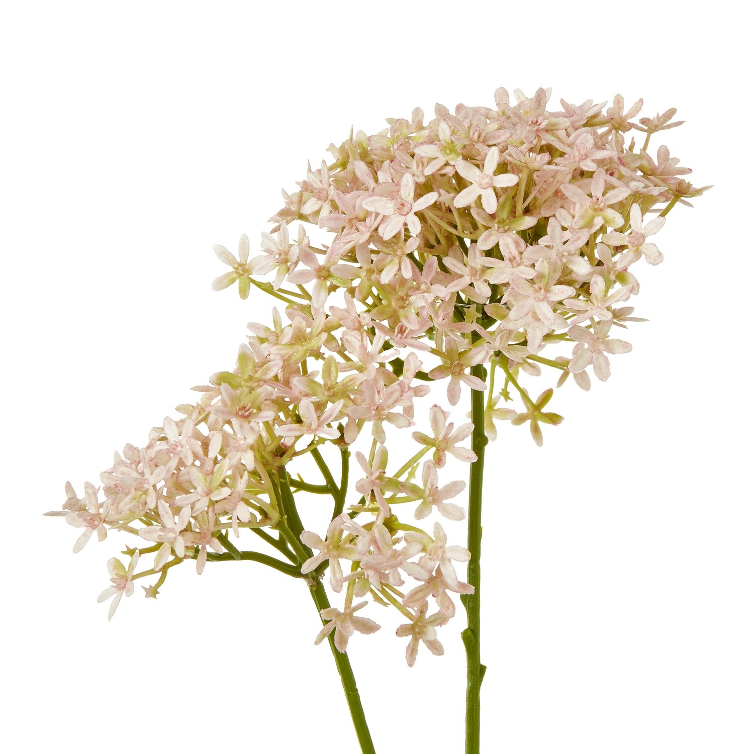 Pink Crown Hydrangea Stem - Image 2
