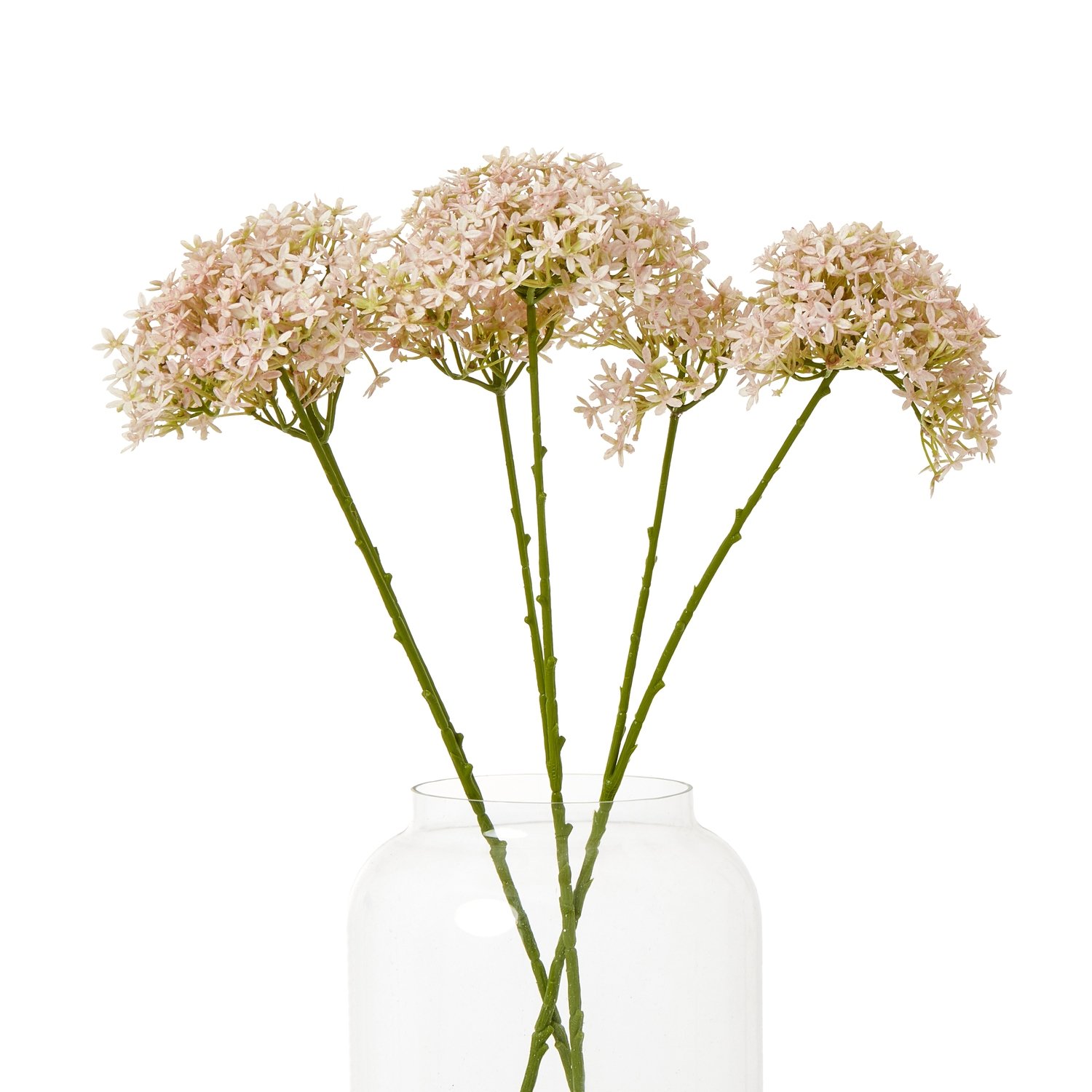 Pink Crown Hydrangea Stem - Image 3