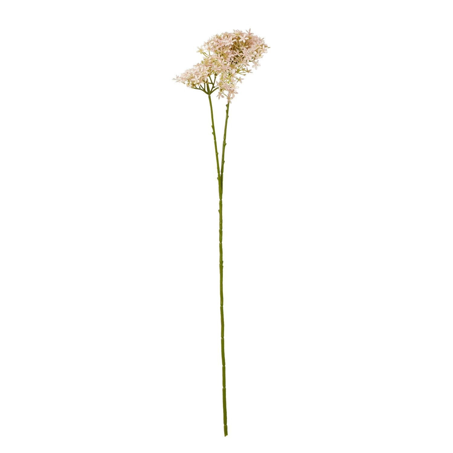 pink pink crown hydrangea stem product image