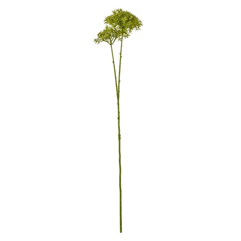 green green crown hydrangea stem product image