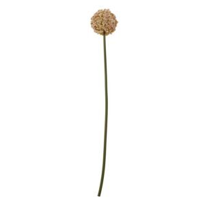 pink pink allium stem product image