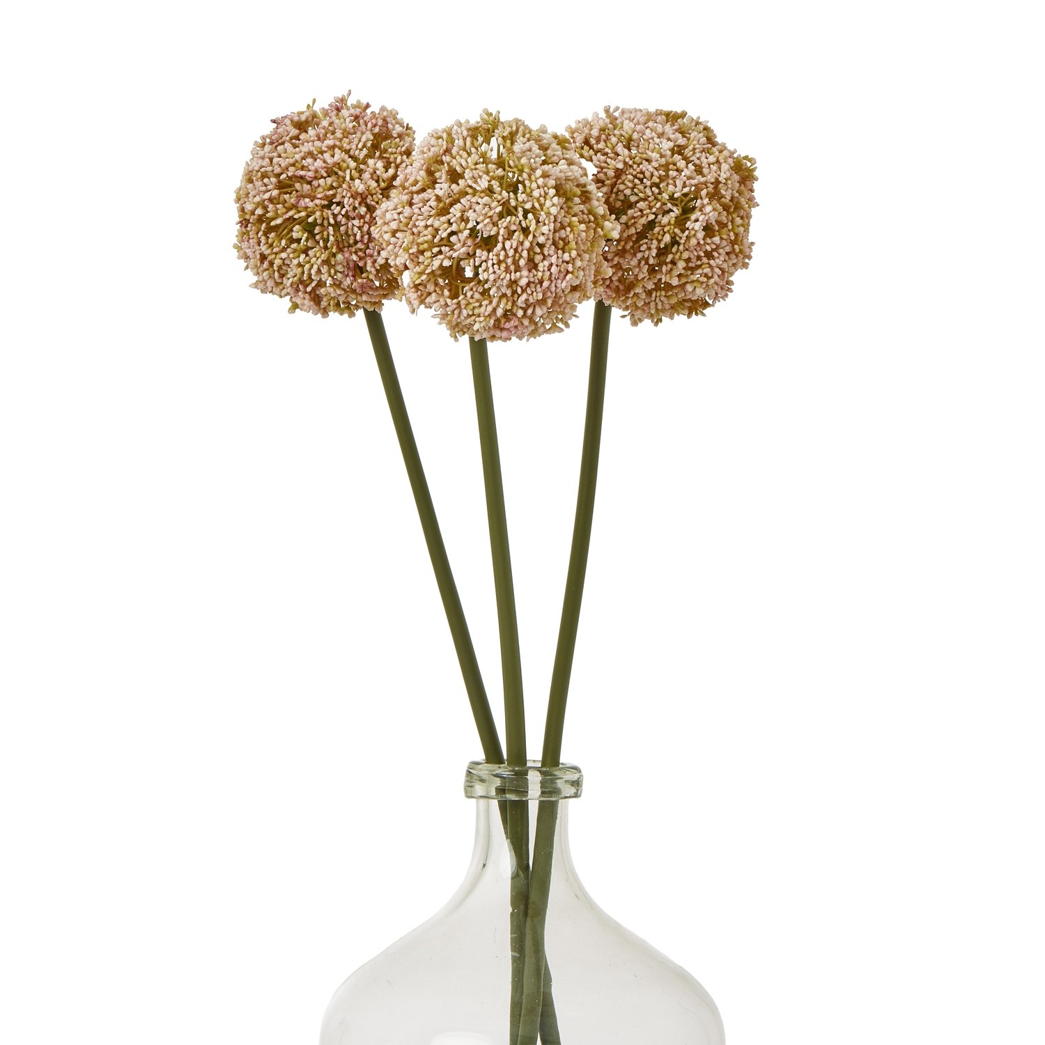 Pink Allium Stem - Image 3
