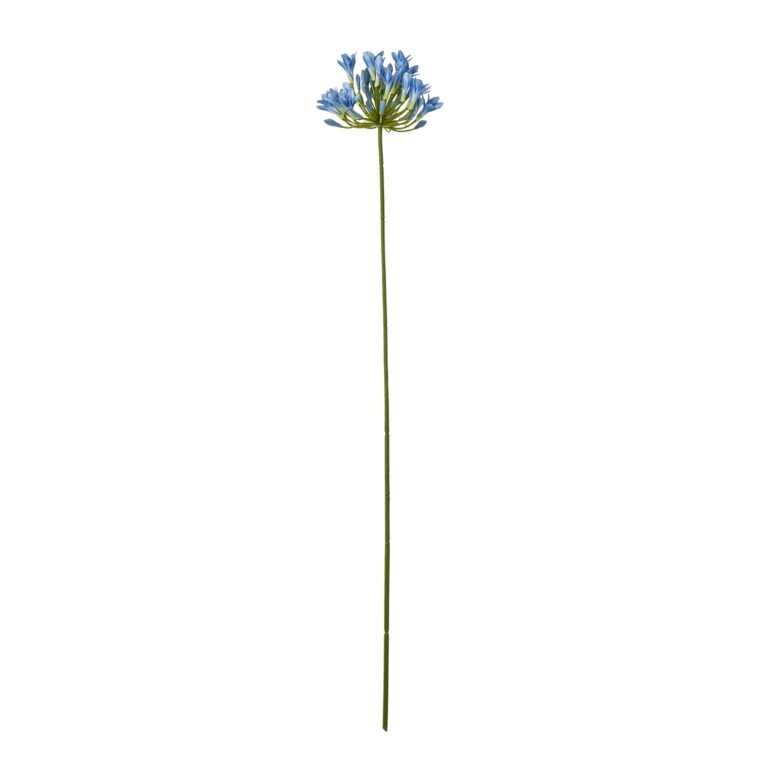 blue blue agapanthus stem product