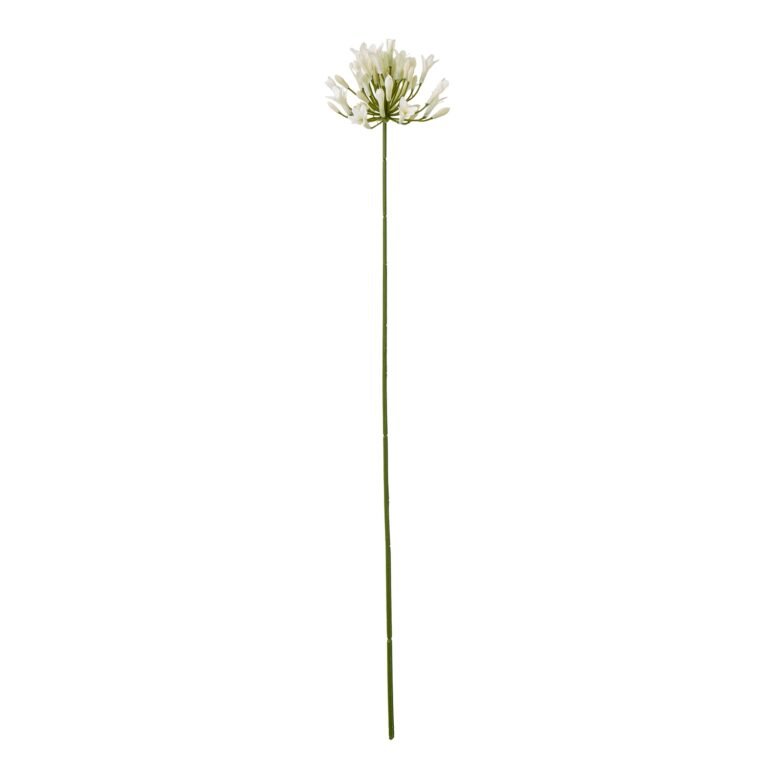 cream cream agapanthus spray product