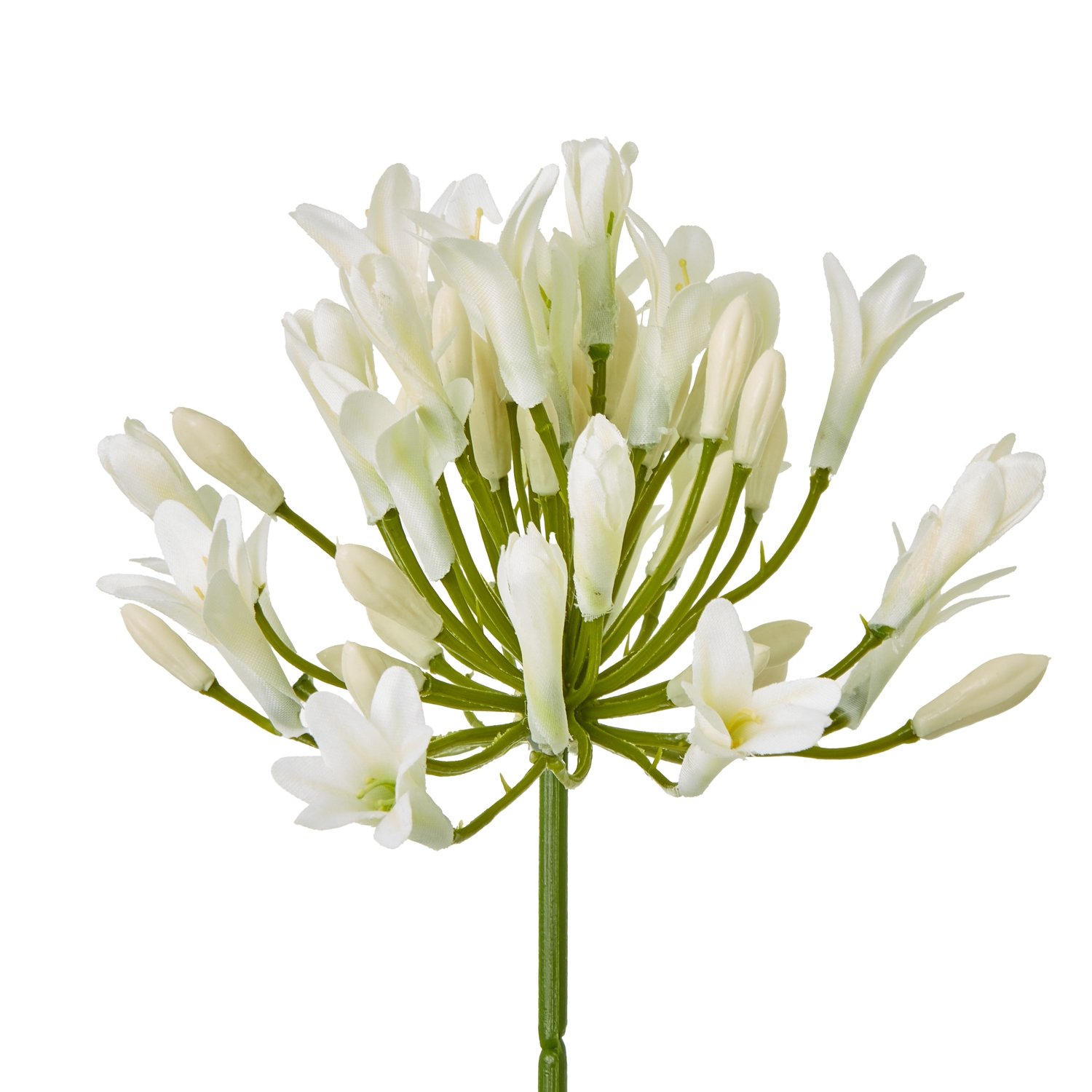 Cream Agapanthus Spray - Image 2