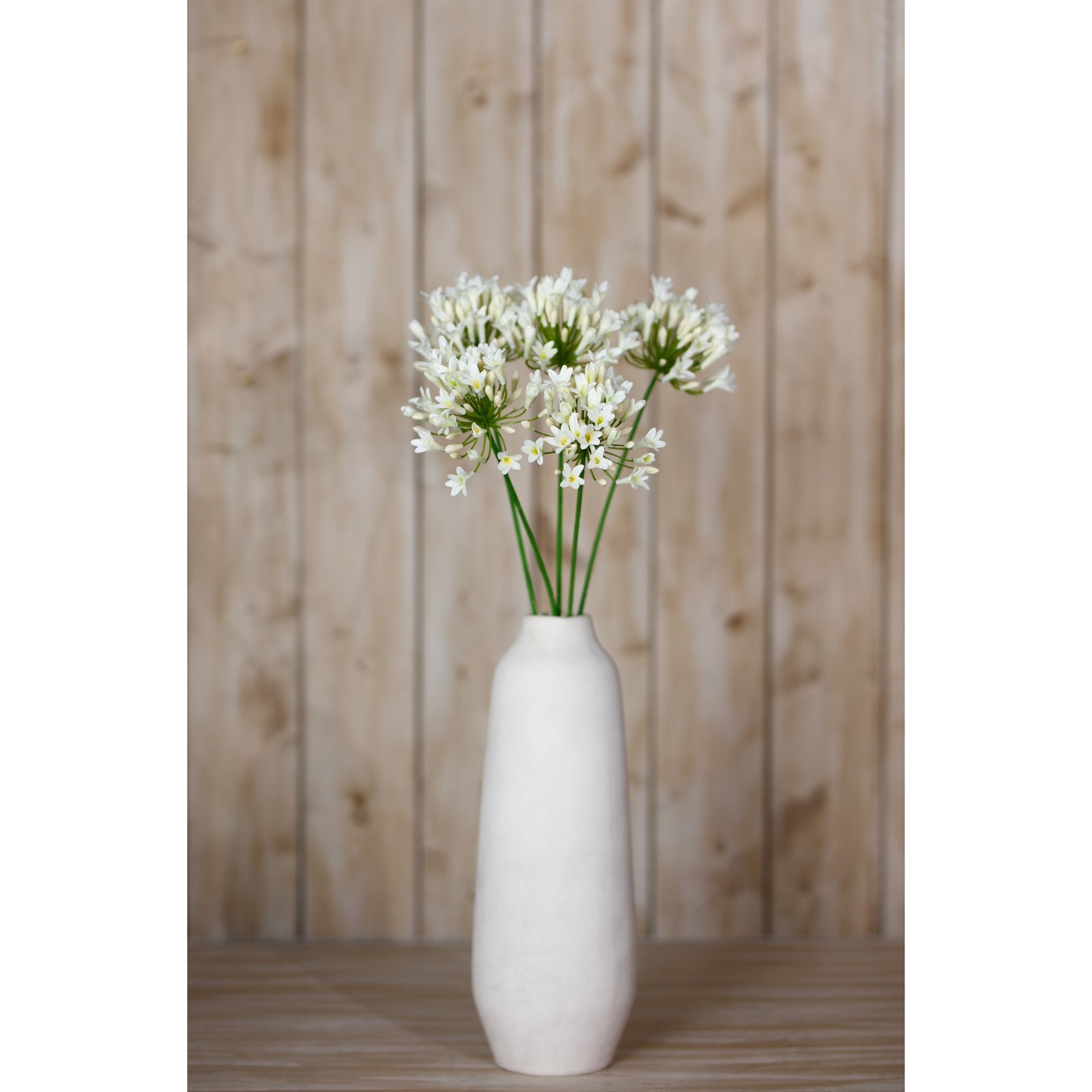 Cream Agapanthus Spray - Image 4