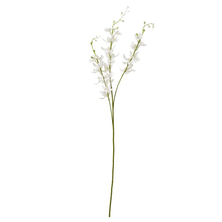 white white cymbidium spray product