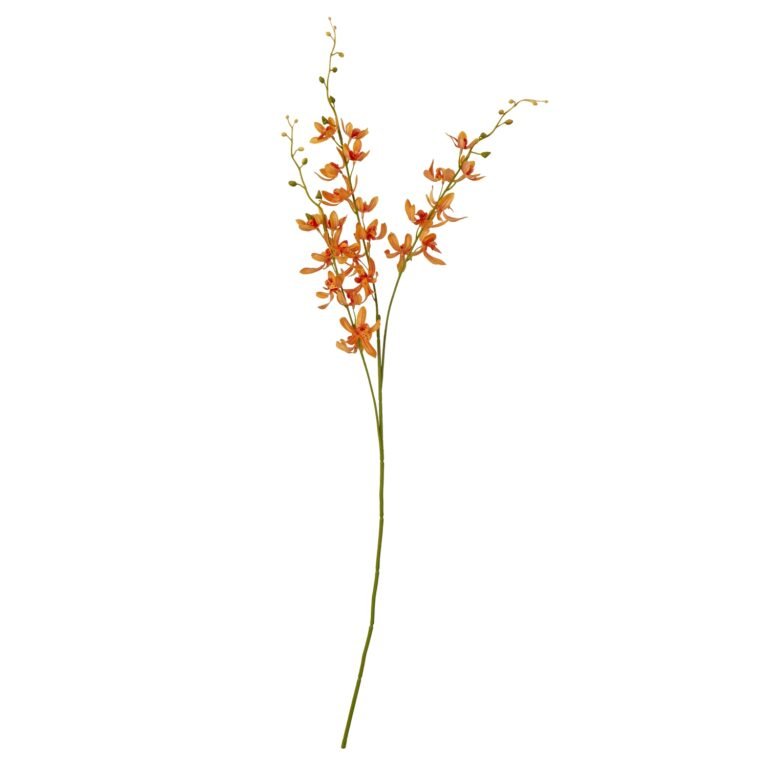 orange orange cymbidium spray product