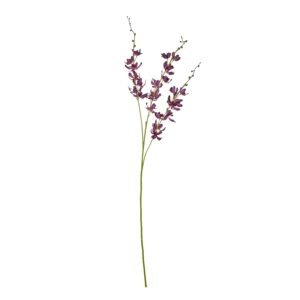 purple purple cymbidium spray product
