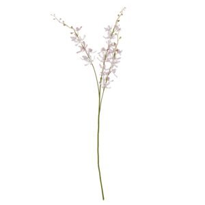 lilac lilac cymbidium spray product