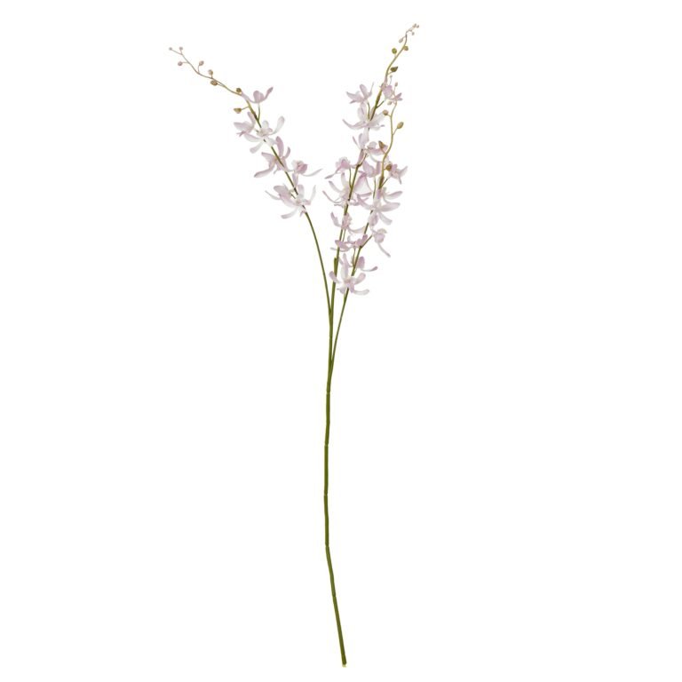 lilac lilac cymbidium spray product