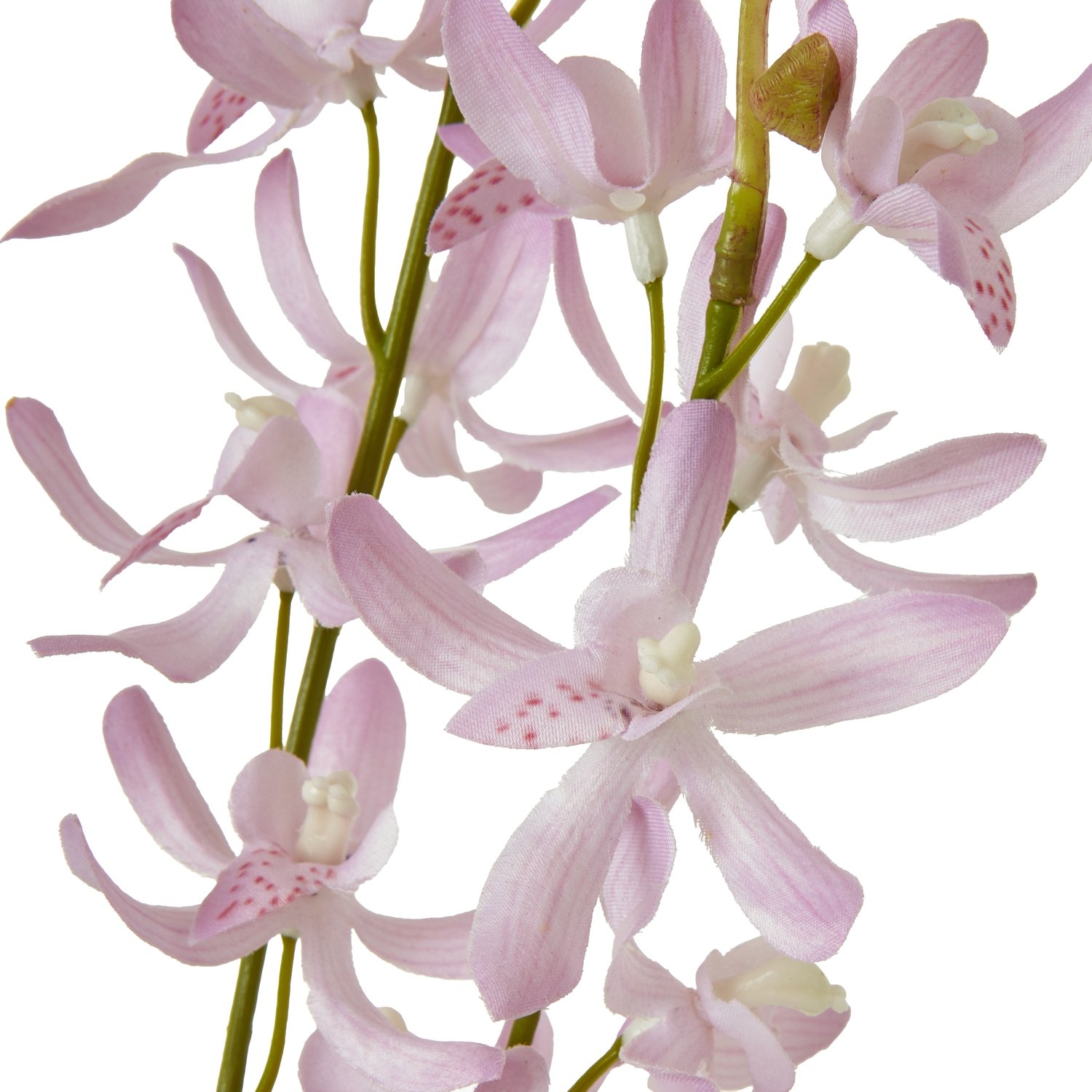 Lilac Cymbidium Spray - Image 2