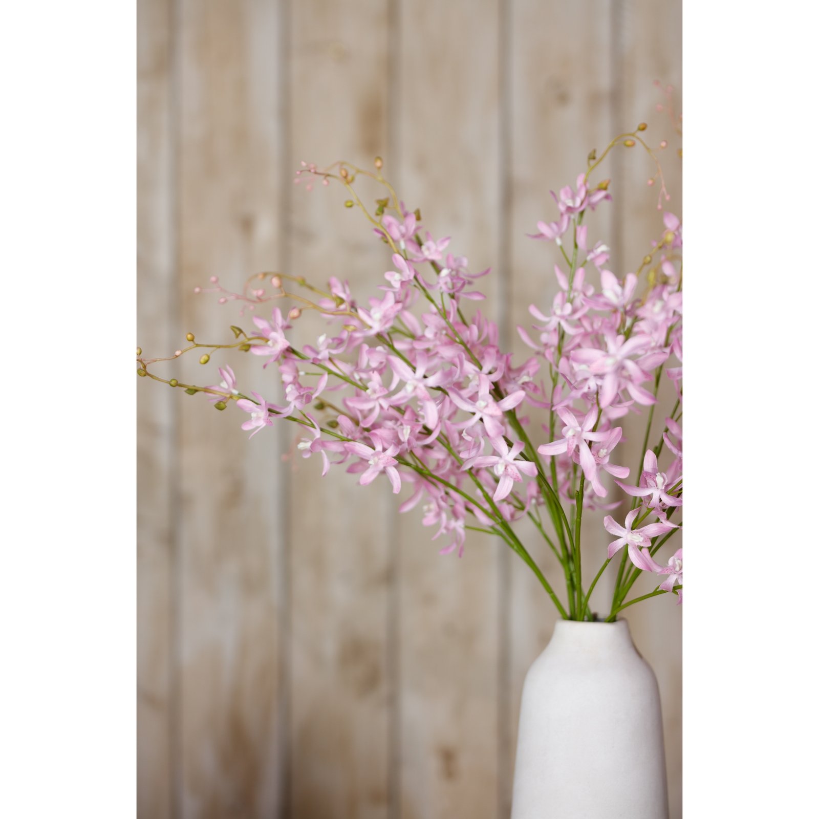 Lilac Cymbidium Spray - Image 5