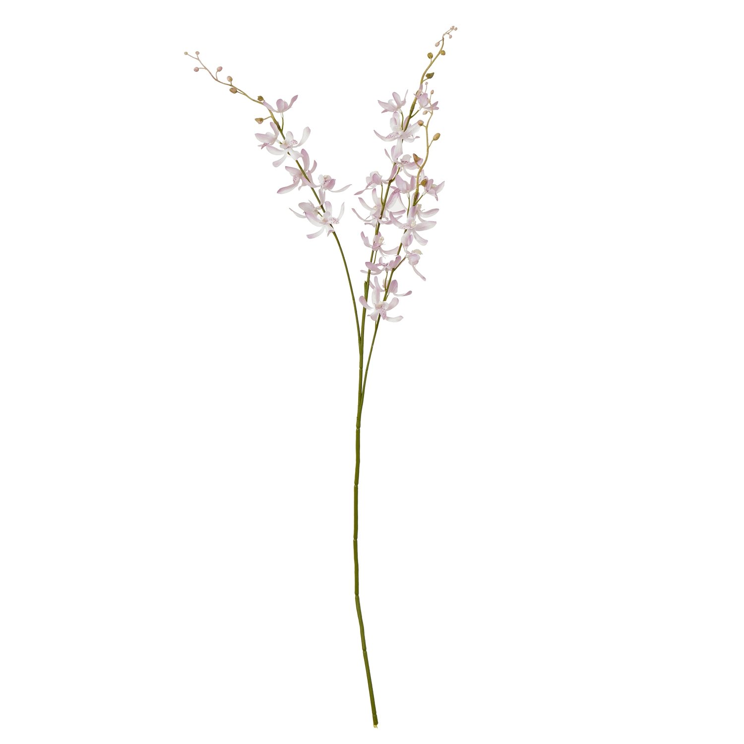 lilac lilac cymbidium spray product