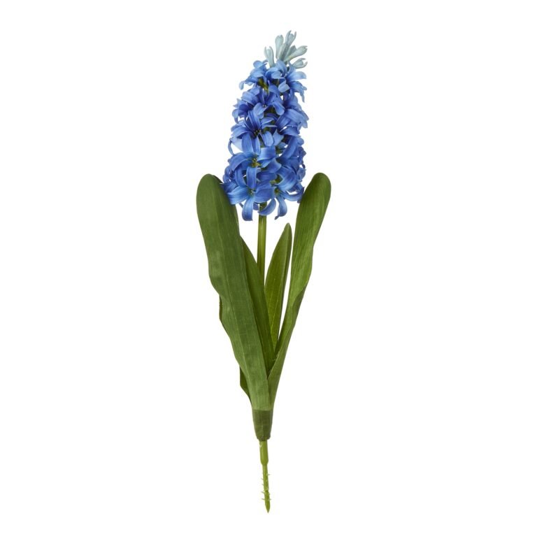 blue blue hyacinth stem product