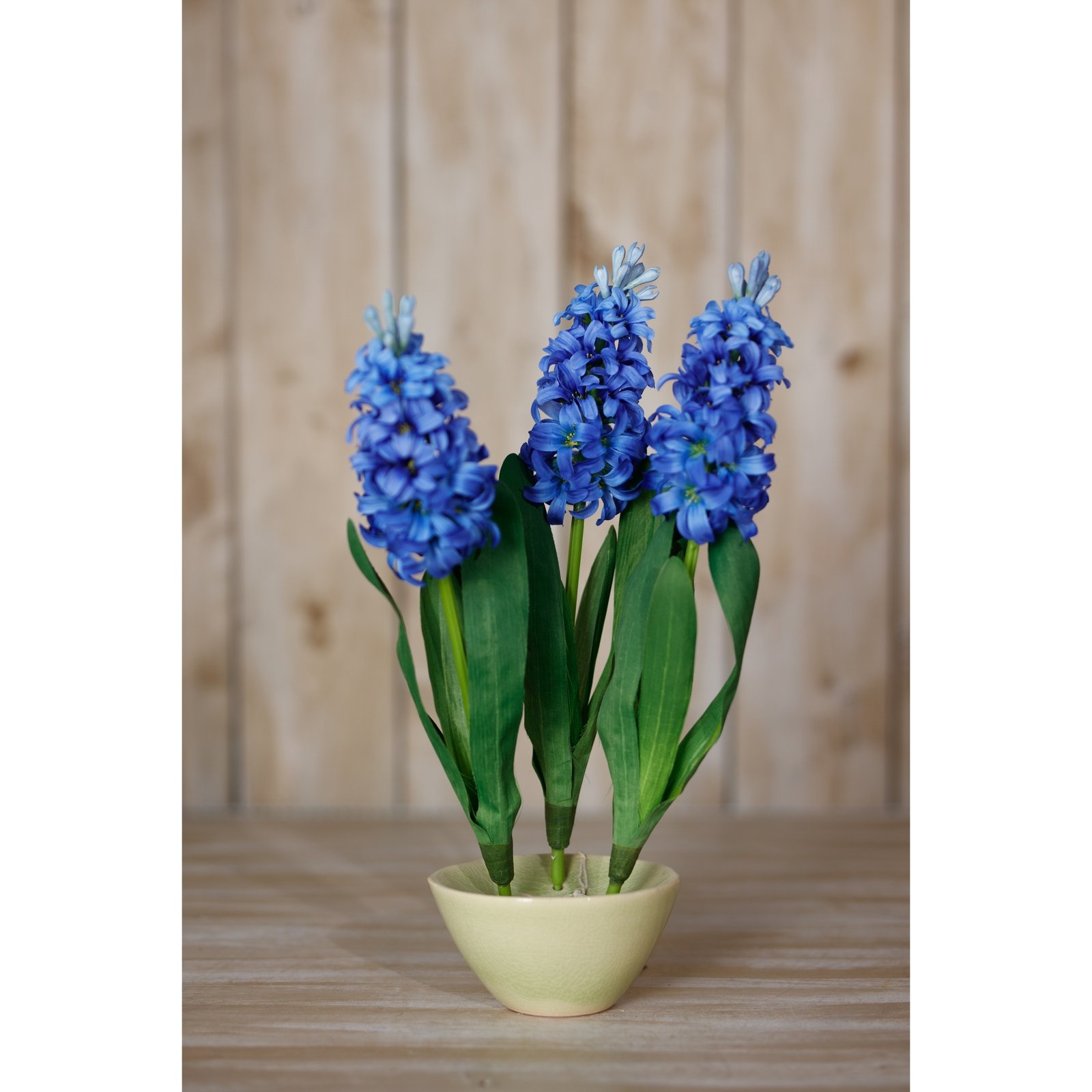 Blue Hyacinth Stem - Image 4
