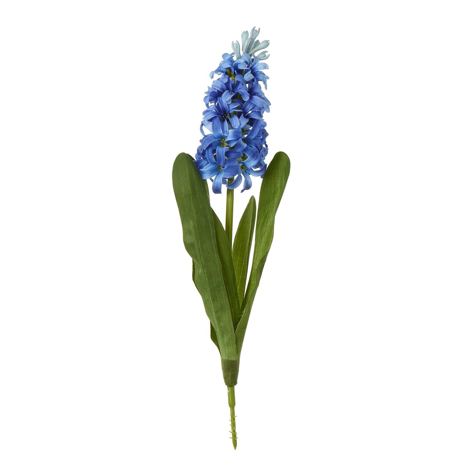 blue blue hyacinth stem product