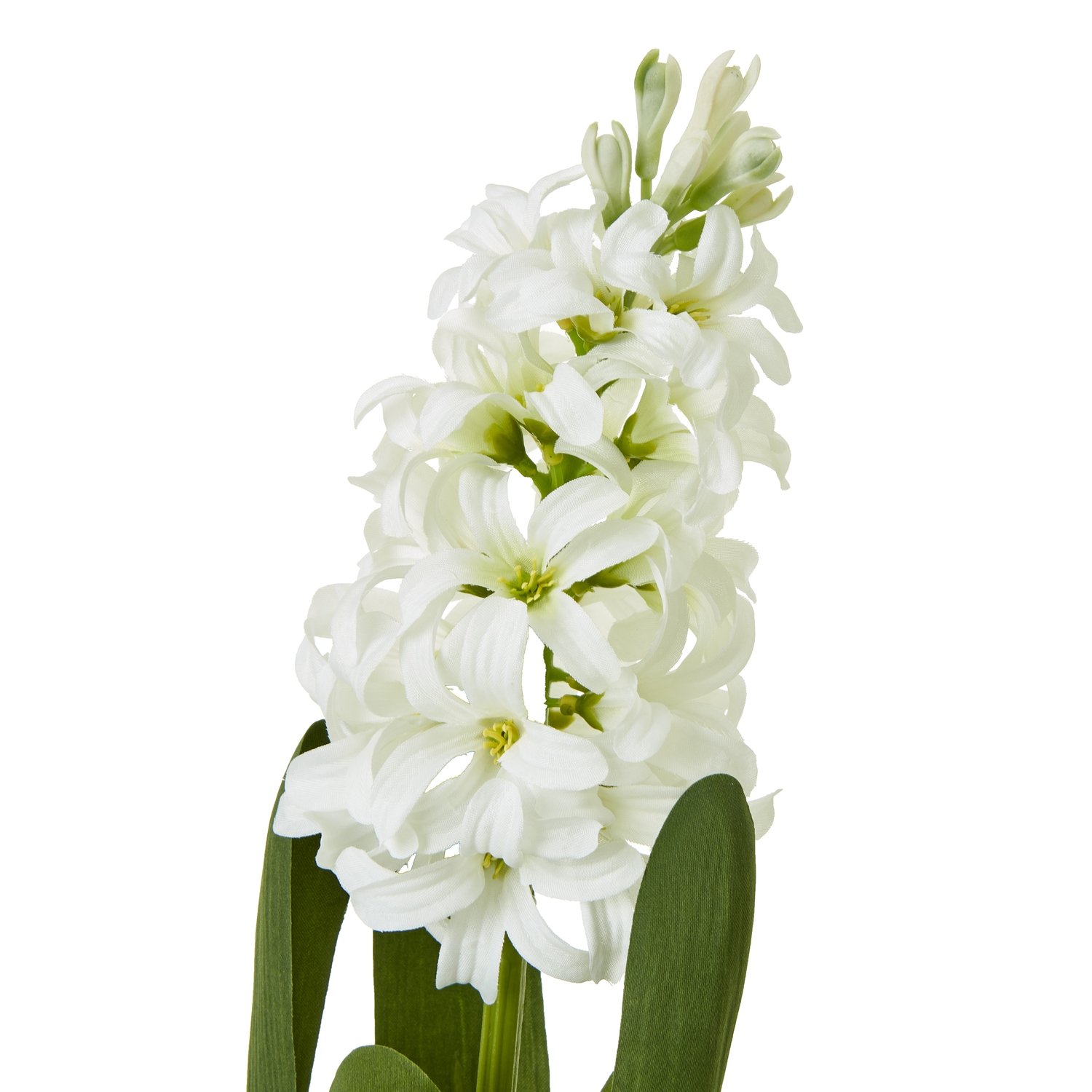 White Hyacinth Stem - Image 2