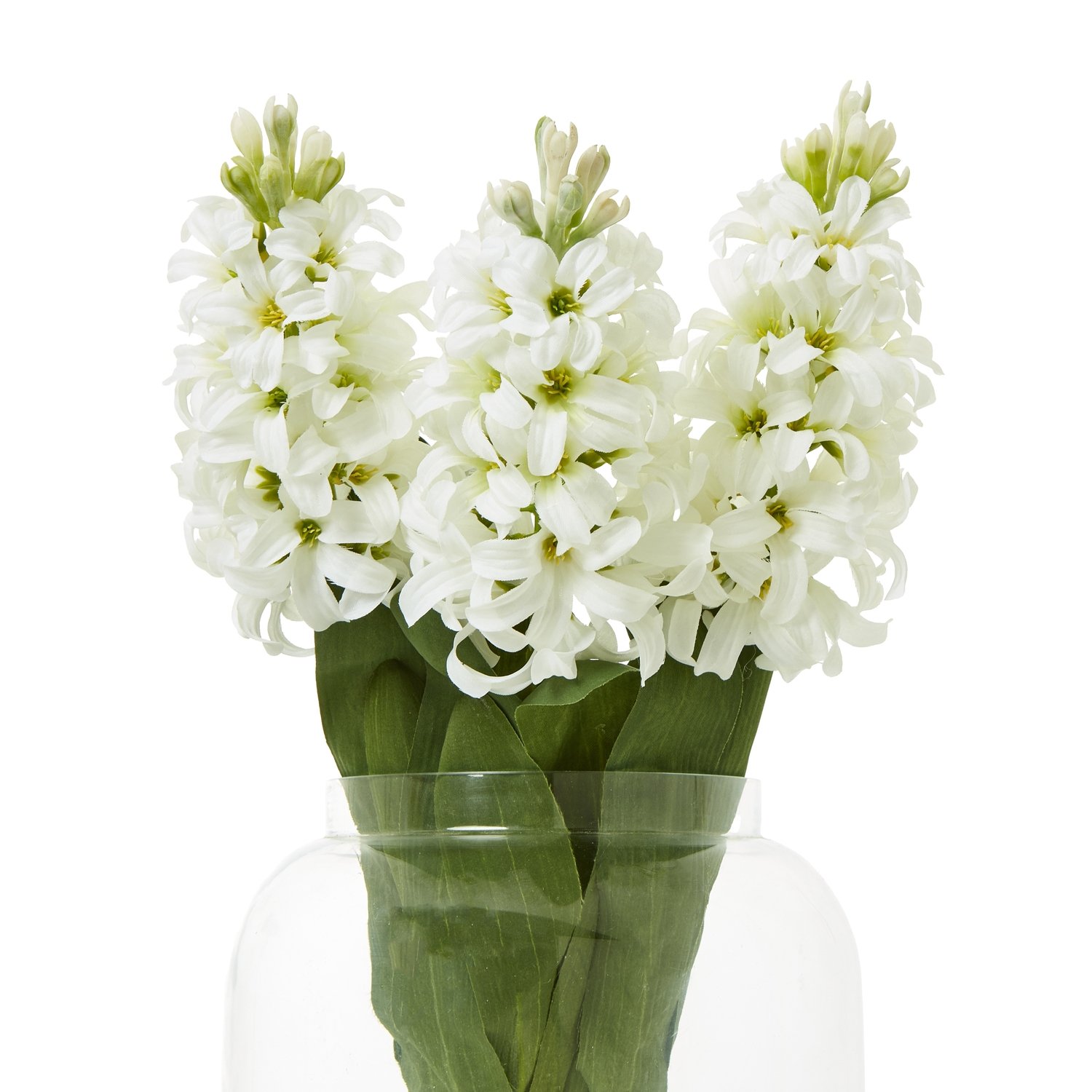 White Hyacinth Stem - Image 3