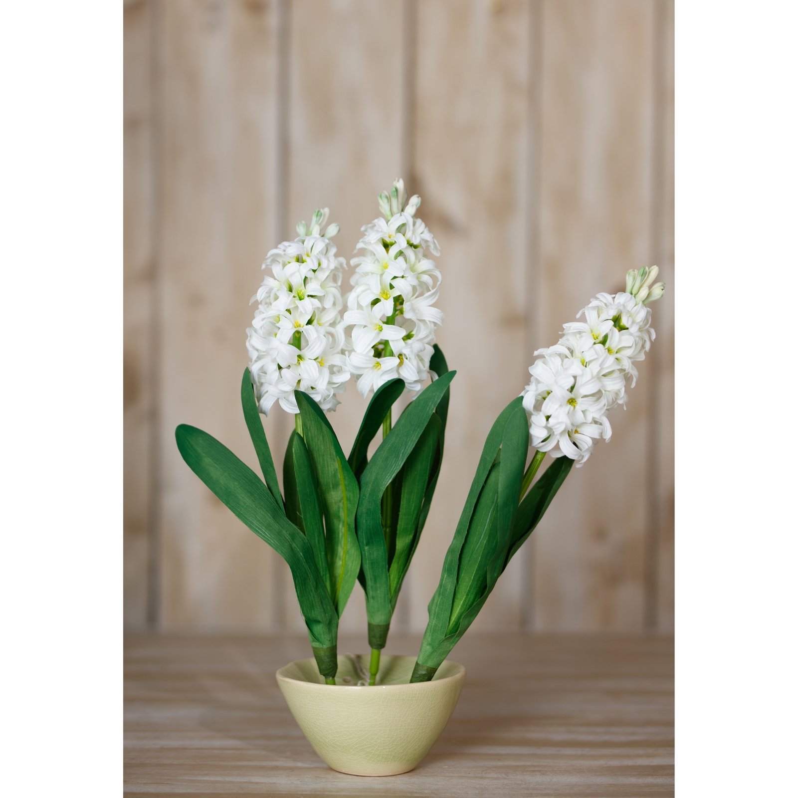 White Hyacinth Stem - Image 4