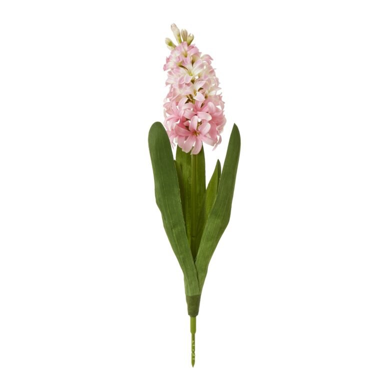 pink pink hyacinth stem product