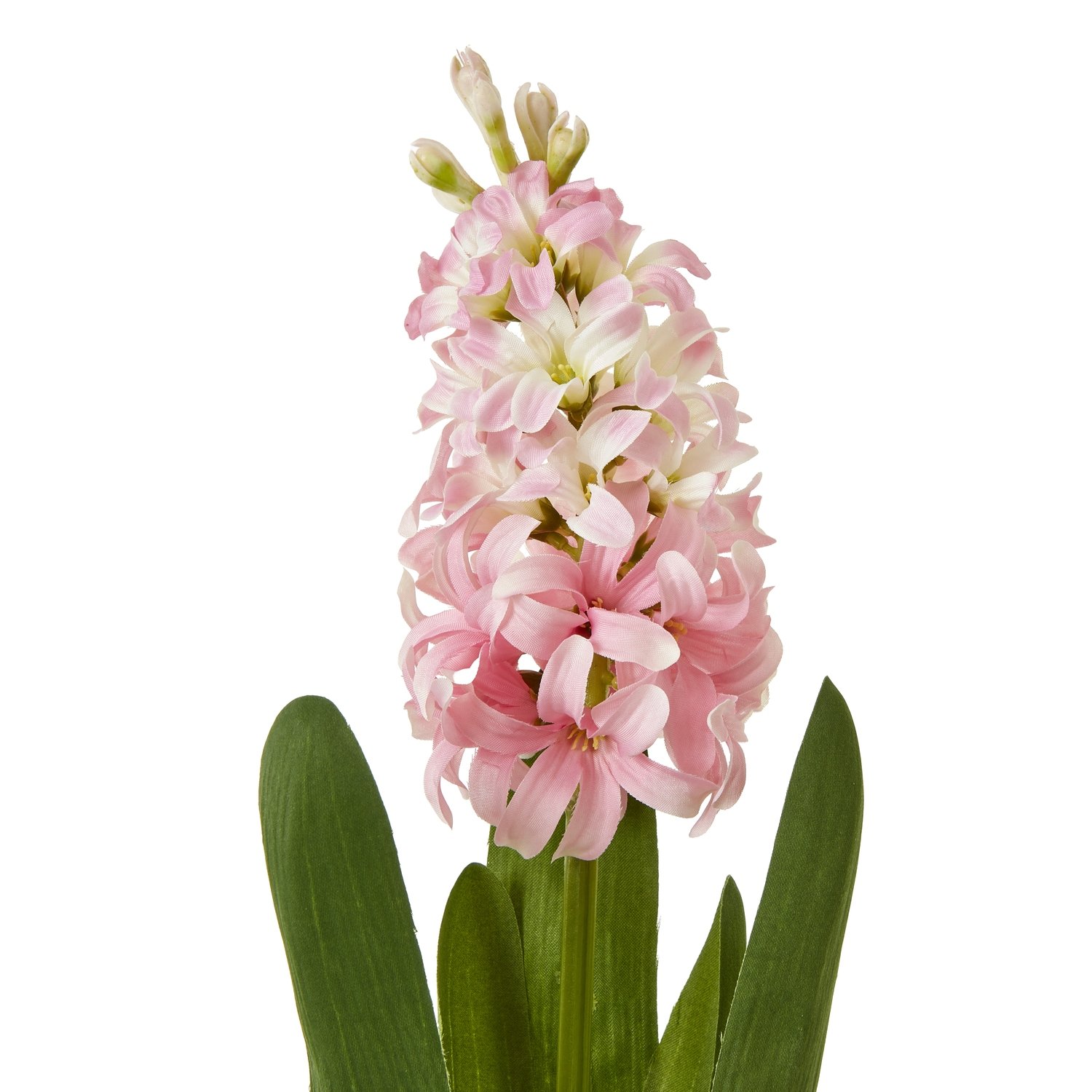 Pink Hyacinth Stem - Image 2