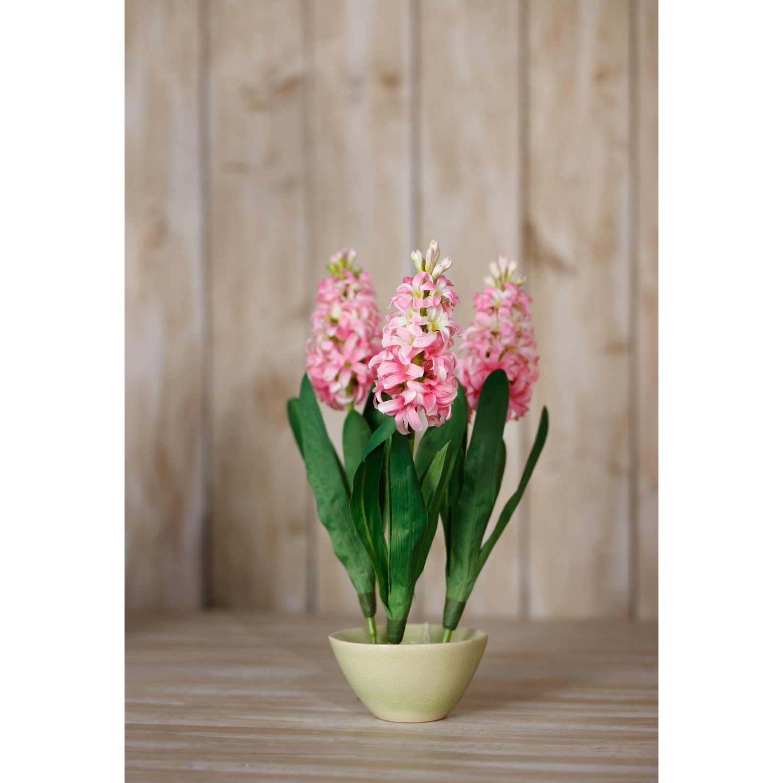 Pink Hyacinth Stem - Image 4