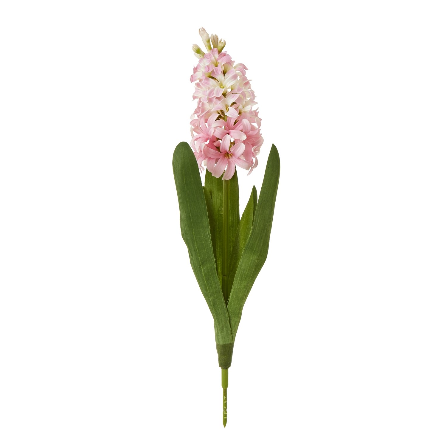 pink pink hyacinth stem product