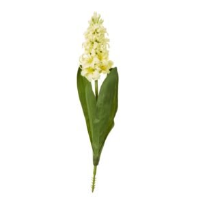 yellow yellow hyacinth stem product