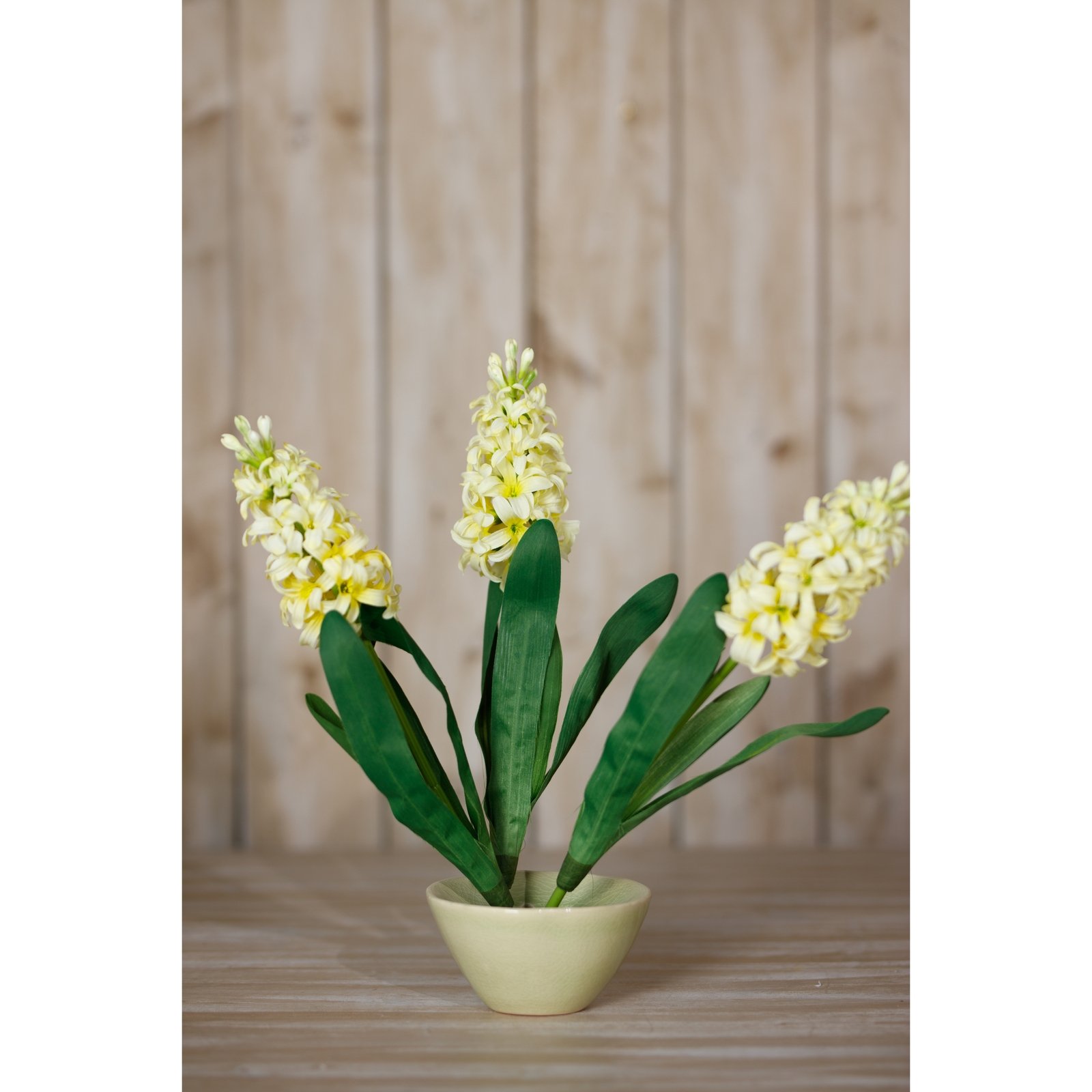 Yellow Hyacinth Stem - Image 4