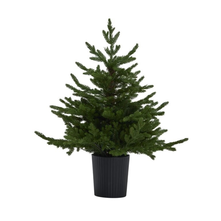 green pre-lit christmas tree in pot